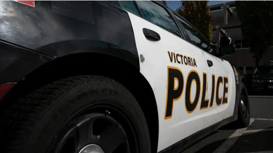 Screenshot 2022 12 09 at 22 04 10 Victoria police looking for 2 men after teen girl sexually assaulted in Topaz Park CBC News