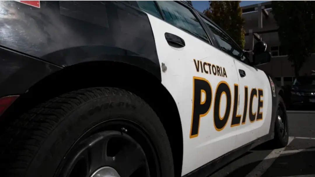 Victoria Police Looking For 2 Men After Teen Girl Sexually Assaulted In Topaz Park Missing