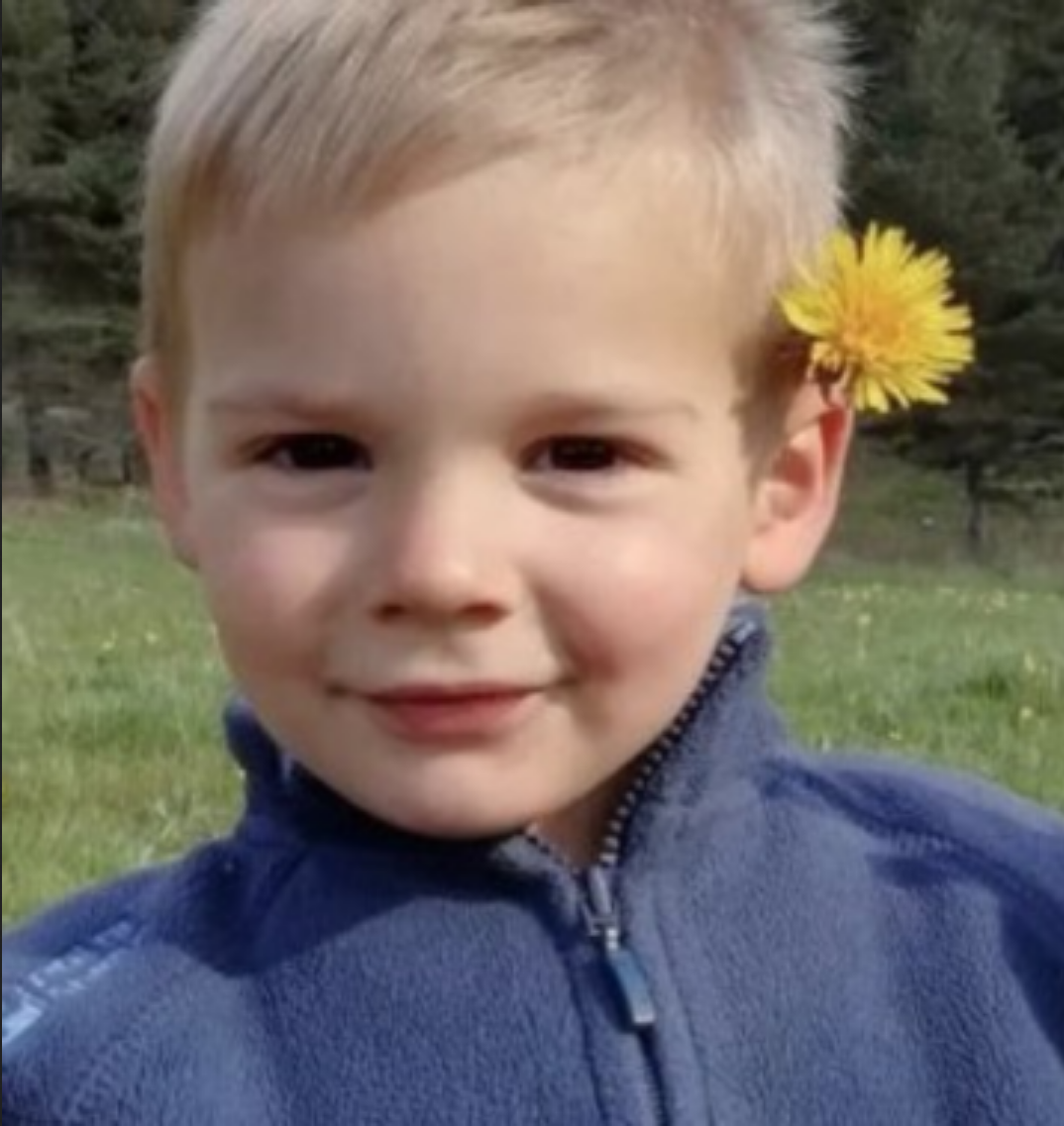 Police Call Off Search For Missing 2 Year Old Boy In France Missing People Canada 1620