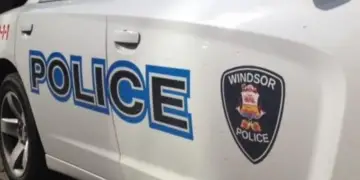 Windsor