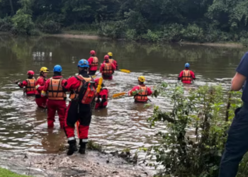 Rescue workers got into the Thames River around 9 a.m. E.T. London officials requested help from search and rescue units from the Ontario Provincial Police and other municipal forces. (Kendra Seguin/ CBC News)