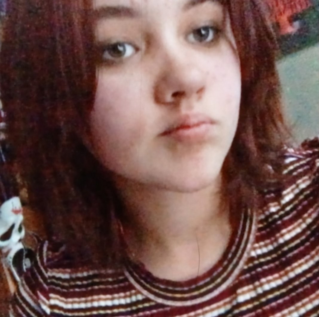 Police Seek Assistance to Find Missing Teenager in Tiny Township, Ontario – Jordan, 14