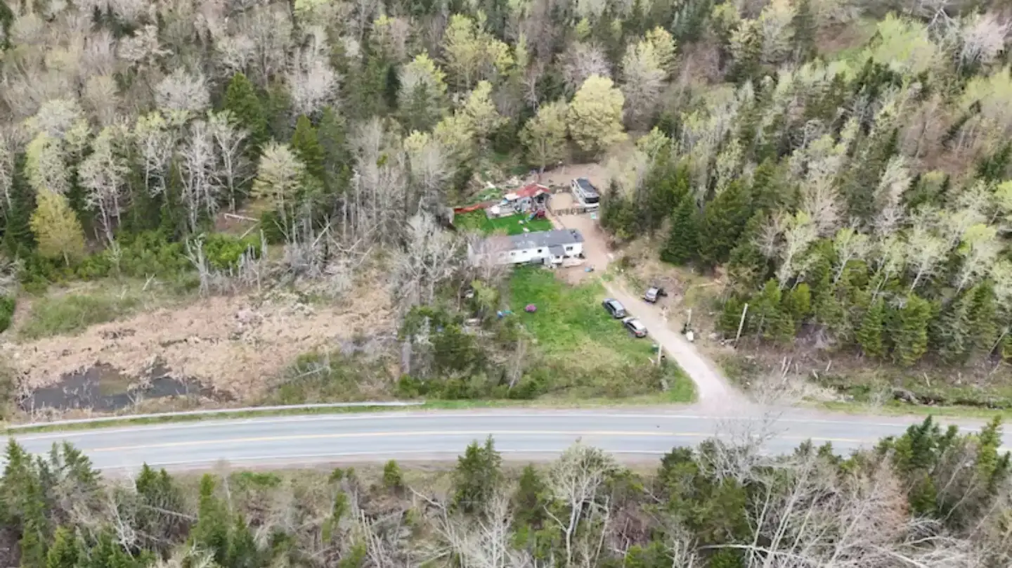 ‘It’s just really strange’: Retired dog handler weighs in on search for missing Nova Scotia children