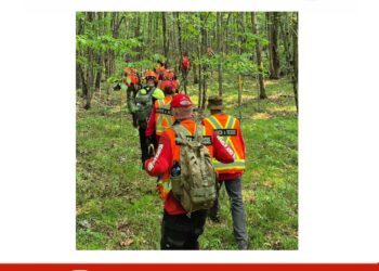 Photo of police search team in Napanee, Ontario, during missing person case.