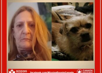 Photo of missing 64-year-old woman Debbie with her dog from Brantford, Ontario.