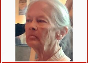 Photo of missing senior Lynn, age 74, from Toronto, Ontario.