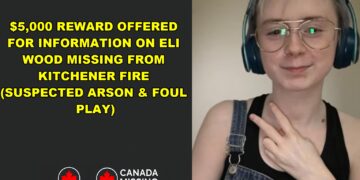 Photo of missing person Eli Wood, age 25, from Kitchener, Ontario